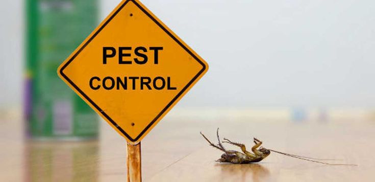 Best Pest Control Service In Mumbai